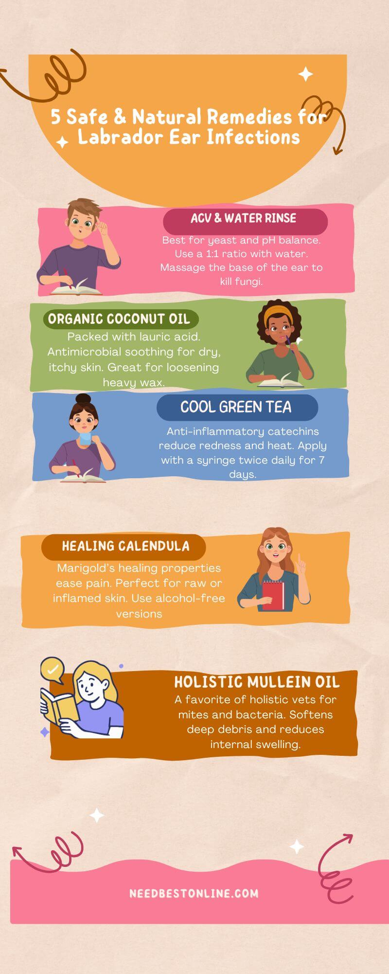 Infographic of 5 safe and natural home remedies for Labrador ear infections including ACV, coconut oil, and green tea.
