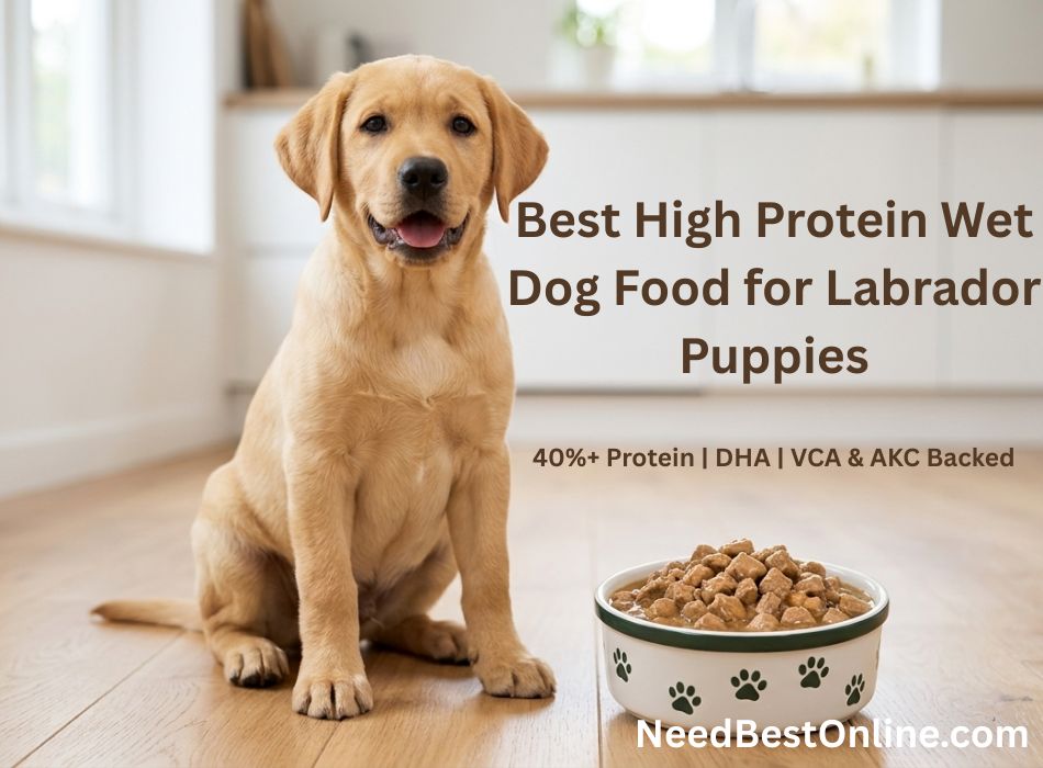 High-protein wet dog food in a bowl for Labrador puppies, featuring real meat chunks for optimal growth and health.